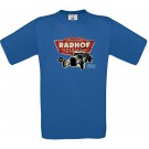 color:royal blue
